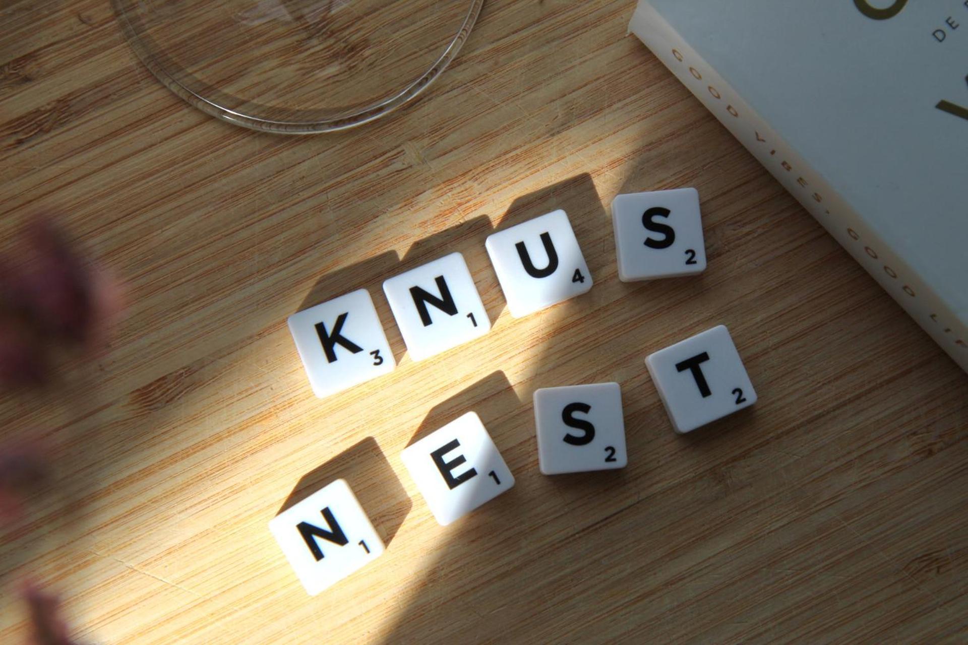 Buitenverblijf Nest Arnhem Exteriör bild