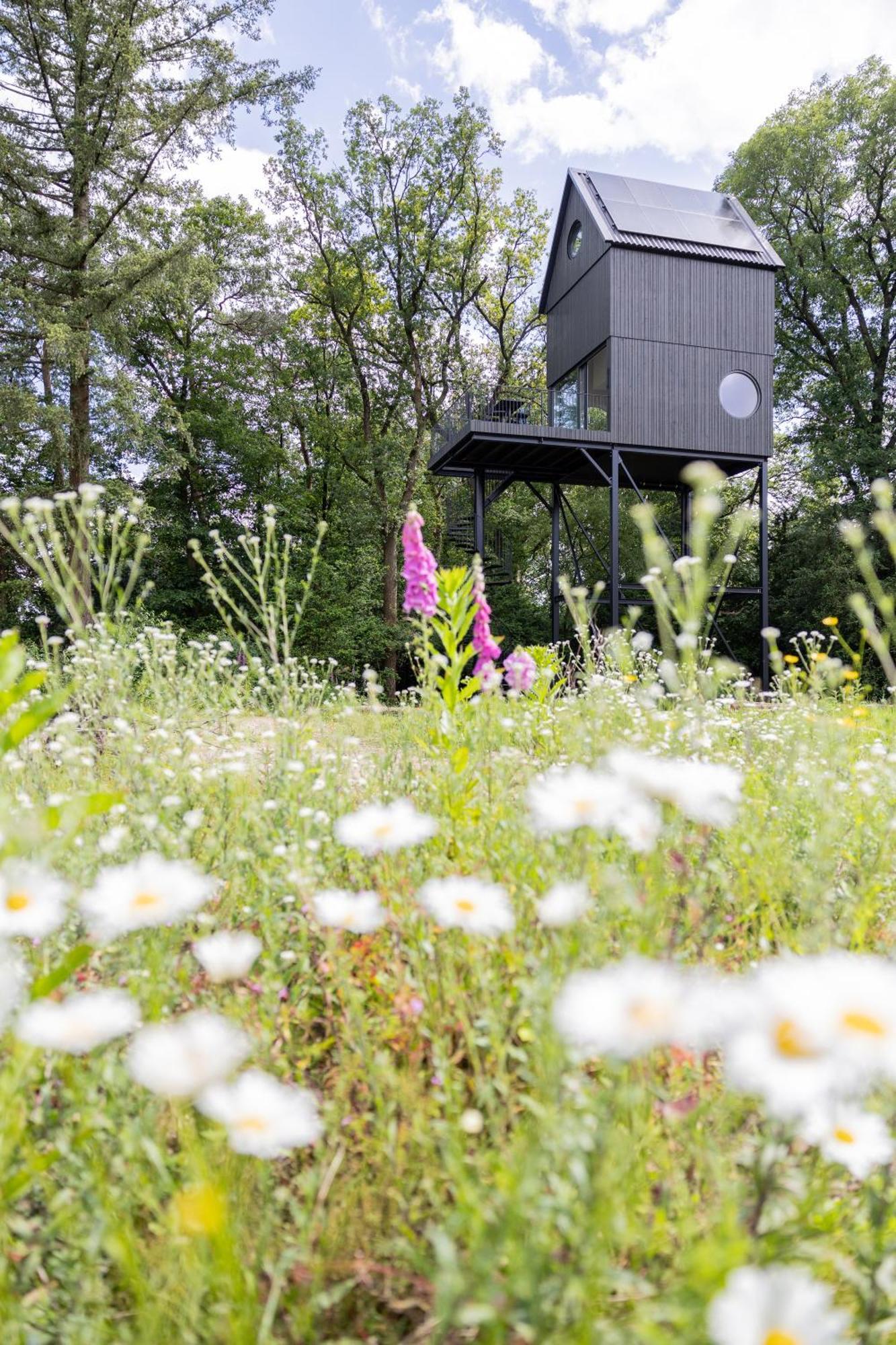 Buitenverblijf Nest Arnhem Exteriör bild